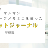 マルマンルーズリーフミニを使った「貼るだけバレットジャーナル」